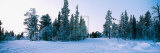 Buy Winter Drifts at AllPosters.com
