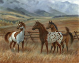 Appaloosa II