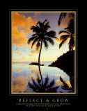 Buy Reflect and Grow at AllPosters.com