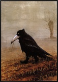 Buy Krahe at AllPosters.com