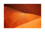 Buy Desert Dune at AllPosters.com
