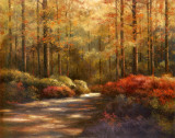 Autumn Trail