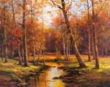 Meadow Stream