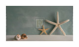 Starfish III