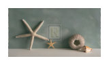 Starfish I