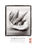 Buy Simplicity: Shells at AllPosters.com