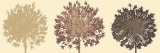 Buy Allium Trio at AllPosters.com