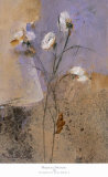 Buy Flowers of June Series I at AllPosters.com