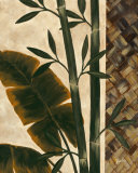 Buy Temperate Flora at AllPosters.com