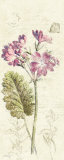 Buy Primrose Panel at AllPosters.com