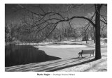 Heritage Pond in Winter Art Print