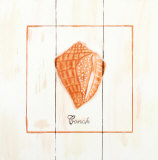 Buy Conch at AllPosters.com