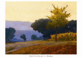 Meadow