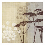 Buy Lace II at AllPosters.com