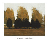 Buy Near Vado at AllPosters.com