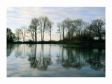Buy Frozen Reflections at AllPosters.com