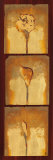Three Calla Lilies