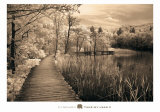 Take My Lead II