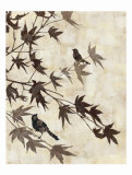 Maple Chorus I