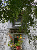 Window Decoration in Sera Temple, Lhasa, Tibet, China