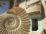 Buy Fossil Shop, Erfoud, Ziz Valley, Morocco at AllPosters.com