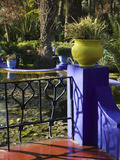 Villa Gardens, Jardin Majorelle and Museum of Islamic Art, Marrakech, Morocco