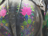 Elephant Decorated with Colorful Painting at Elephant Festival, Jaipur, Rajasthan, India