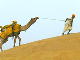 Man with Camel with Sam Sand Dunes, Thar Desert, Jaisalmer, Rajasthan, India
