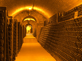 Underground Wine Cellar, Champagne Francois Seconde, Sillery Grand Cru