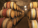 Chapoutier Winery's Barrel Aging Cellar with Oak Casks, Domaine M Chapoutier, Tain L'Hermitage