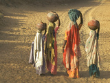 Girls Wearing Sari with Water Jars Walking in the Desert, Pushkar, Rajasthan, India