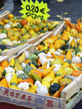 Buy Gourds for Sale at Market Stall, Bergerac, Dordogne, France at AllPosters.com