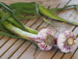 Fresh Garlic on Teak Table, Clos Des Iles, Le Brusc, Var, Cote d'Azur, France