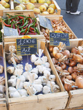 Buy Garlic, Onions and Pimiento Peppers at Market Stall, Bergerac, Dordogne, France at AllPosters.com
