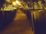 Wine Cellar with Tunnels of Wooden Barrels and Tokaj Wine, Royal Tokaji Wine Company, Mad, Hungary