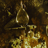 Wine Cellar with Tunnels of Wooden Barrels and Tokaj Wine, Royal Tokaji Wine Company, Mad, Hungary