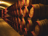 Barrels of Tokaj Wine in Disznoko Cellars, Hungary