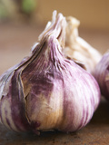Fresh Violet and White Garlic, Clos Des Iles, Le Brusc, Cote d'Azur, Var, France