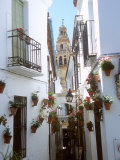 Calleja De Las Flores (Flower Alley), Spain