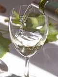 Glass of White Wine, Chateau Belgrave, Haut-Medoc, Grand Crus Classee, France