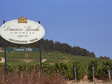 Sign for Domaine Laroche and the Les Clos Grand Cru Vineyard, Chablis, France