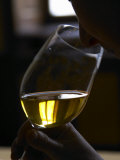 Person Holding Glass of Golden White Burgundy Wine, Maison Louis Jadot, Beaune