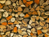 Stacked Firewood, Lithuania