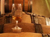 Glass of White Wine on Bung Hole Stopper, Wine Cellar of Jo Pithon, Loire Valley, France