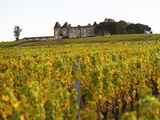 Buy Vineyard and Medieval Chateau, Choteau d'Yquem, Sauternes, Bordeaux, Gironde, France at AllPosters.com