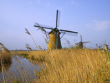 Windmills Along the Canal in Kinderdijk, Netherlands