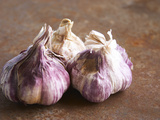 Buy Fresh Violet and White Garlic, Clos Des Iles, Le Brusc, Cote d'Azur, Var, France at AllPosters.com