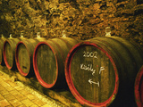 Kiralyudvar Winery Barrels with Tokaj Wine, Tokaj, Hungary