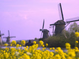 Windmills Along the Canal in Kinderdijk, Netherlands