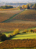 View Over the Vineyards in Bergerac, Chateau Belingard, Bergerac, Dordogne, France